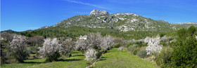 Photo de la sainte baume
