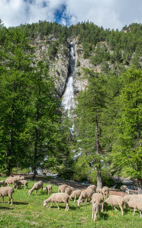 montagne haute alpes ,queyras, mercantour,alpes de haute provence,alpes maritime