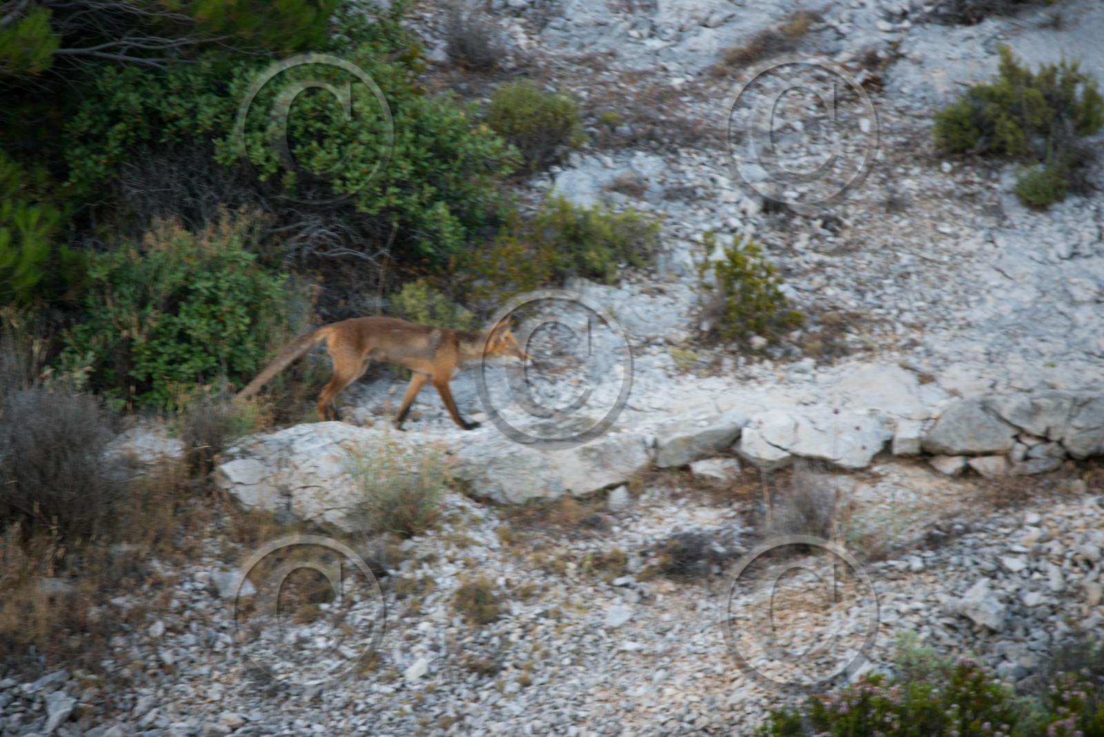 MISE A  JOUR  en cours