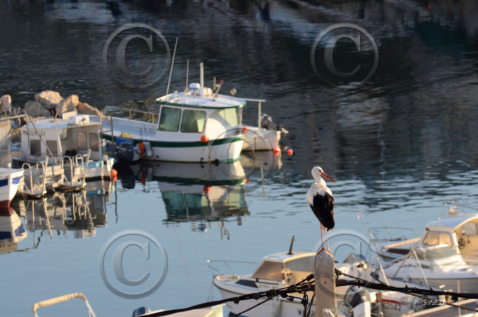 MISE A  JOUR  en cours