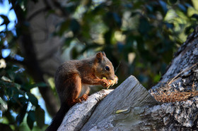 MISE A  JOUR  en cours